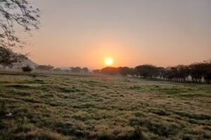 Abastecedora De Aceros La Perla