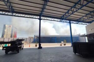 Acero rey cuarto cintur&oacute;n