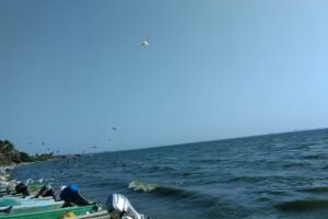 Aceros Lasa San Pedro