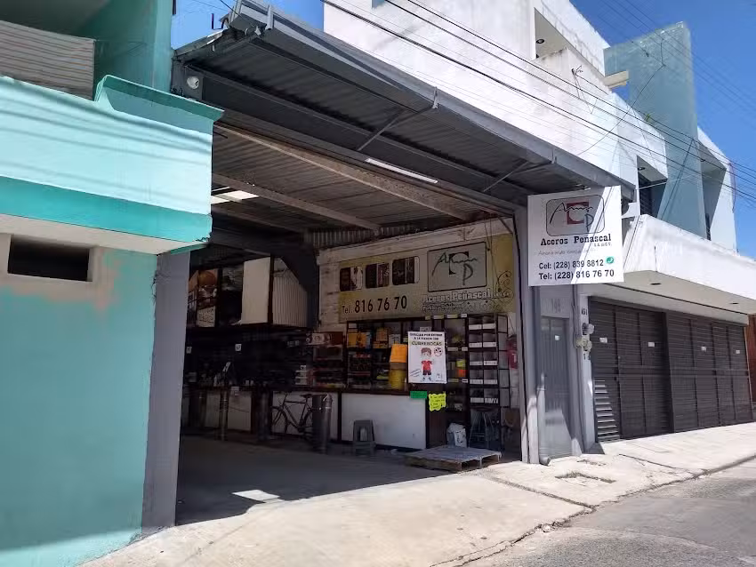 ACEROS PE&Ntilde;ASCAL SA DE CV