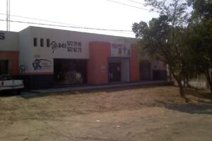 Aceros y Cementos de Pátzcuaro SA de CV GRUPO de ORO Suc. del Valle