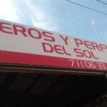 Aceros Y Perfiles Del Sol (Asis)