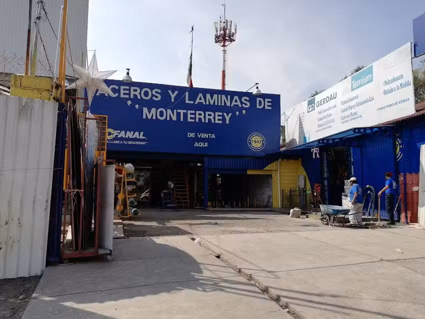 ALDEM PROYECTOS Y SOLUCIONES EN ACERO, S. A. DE C. V.