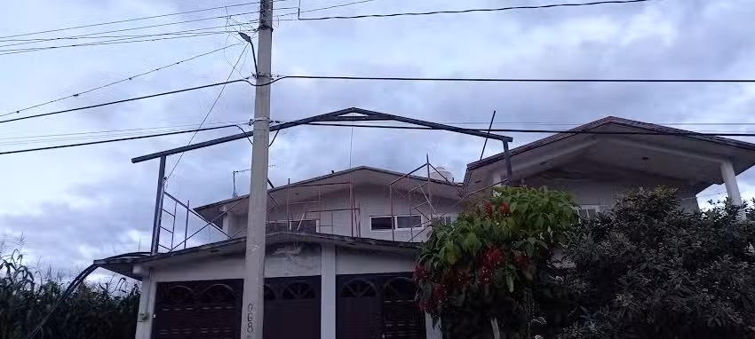 Balconeria pavel