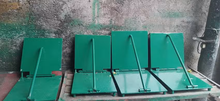 Balconeria reyes pluma