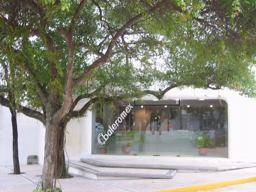 Baleromex S.A. de C.V. Suc. Coatzacoalcos