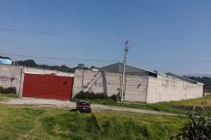 Beatriz Ball Collection SA de CV