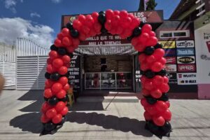 BIRLOS Y TORNILLOS INDUSTRIALES DEL SUR