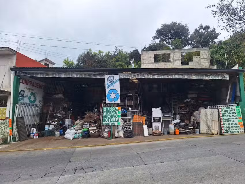 Compra de Metales Escorpi&oacute;n xoloateno