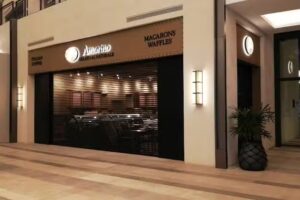 Cortinas de Acero Maya