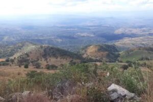 Distribuidora de Acero Comercial