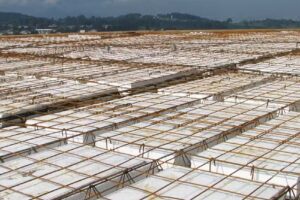 Distribuidora de Aceros y Derivados Apizaco