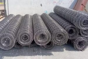 EL GANADERO SUC. JALOSTOTITLAN