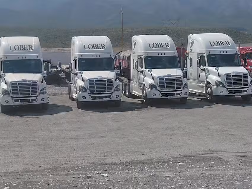 Especializados en Estructuras Met&aacute;licas Lober SA de CV