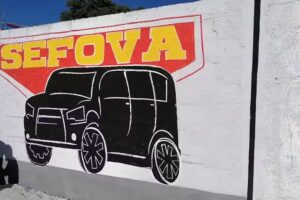 Est&eacute;tica Automotriz SEFOVA