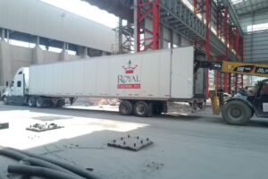 Frisa Planta Garc&iacute;a