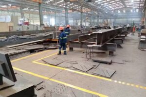 GRUPO BAYSA – TEPOJACO