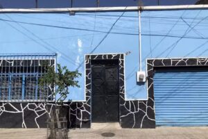 Grupo Marie, S.A. De C.V.