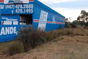 Grupo Megacero Maravatio