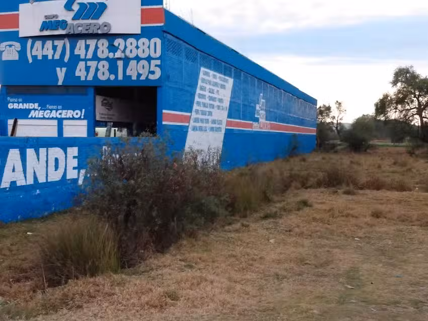 Grupo Megacero Maravatio