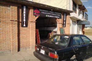 Grupo sinergia empresarial