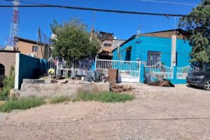 HALCON HERRERIA NOGSON