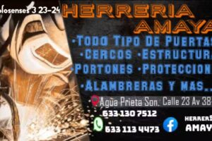 HERRER&Iacute;A AMAYA