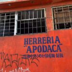 Herreria apodaca