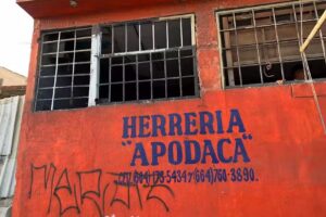 Herreria apodaca
