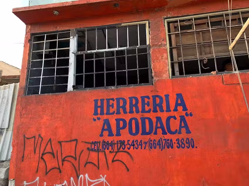 Herreria apodaca
