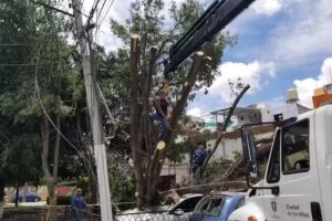 Herrer&iacute;a del pinar