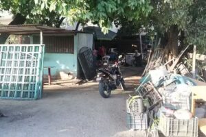 Herrer&iacute;a &rdquo; El Ruli Bola&ntilde;os&rdquo;