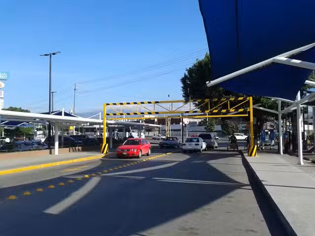 Herrer&iacute;a Flores