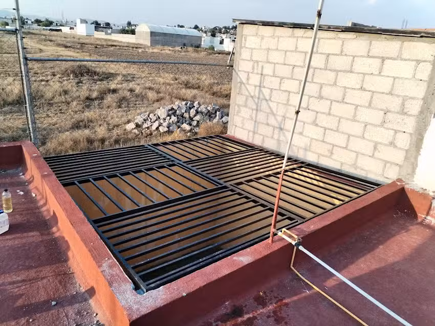 Herrer&iacute;a hephaistos