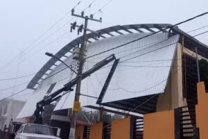 Herrer&iacute;a L&oacute;pez