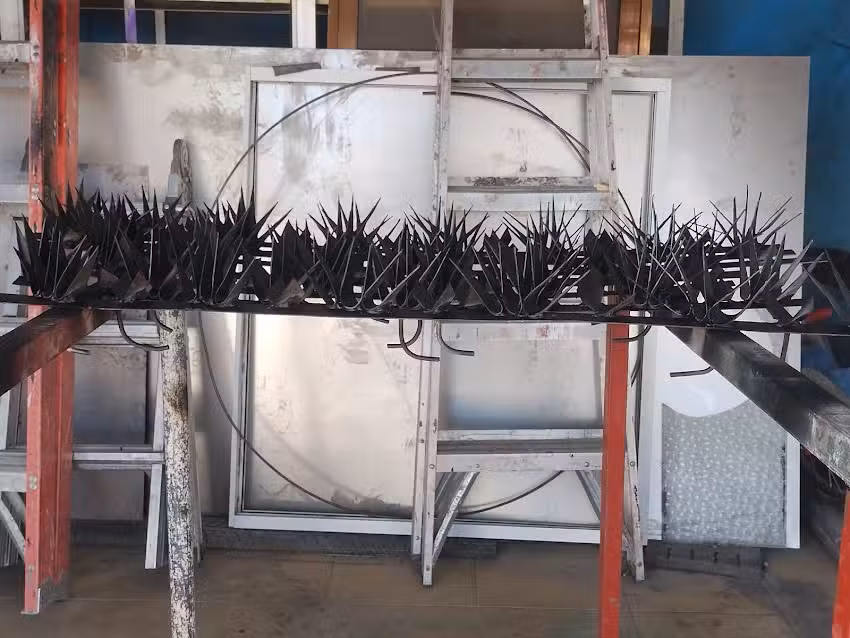 Herrer&iacute;a los enanos