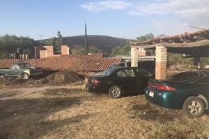 Herrer&iacute;a mamey