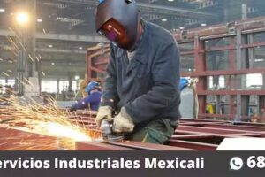 Herrer&iacute;a Mexicali