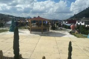 Herrer&iacute;a Montiel