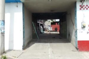 Herrer&iacute;a nativitas