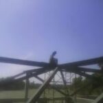 Herrer&iacute;a Pepe