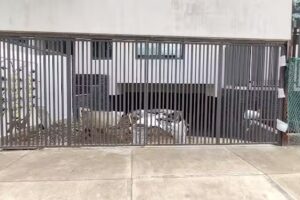 Herreria Ram&iacute;rez