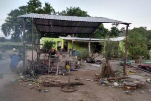 Herrer&iacute;a Ramos