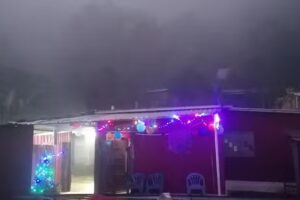 Herrer&iacute;a Ramos