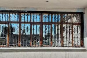 Herrer&iacute;a regino