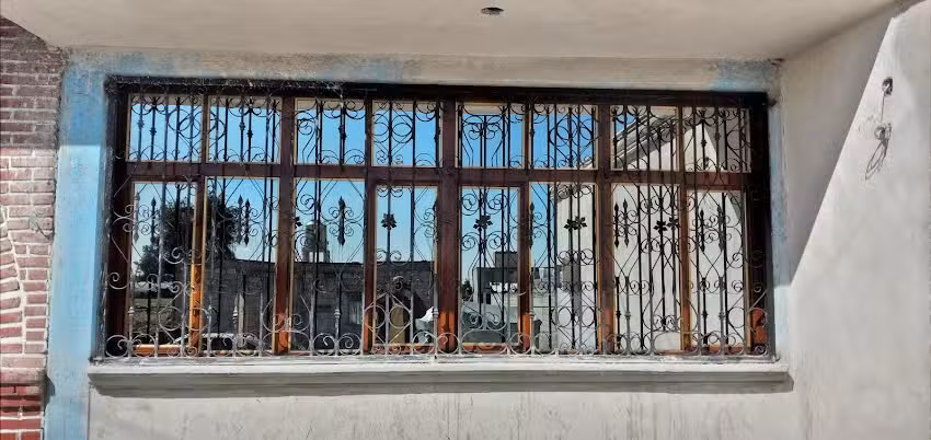 Herrer&iacute;a regino