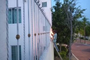 Herrer&iacute;a santiesteban