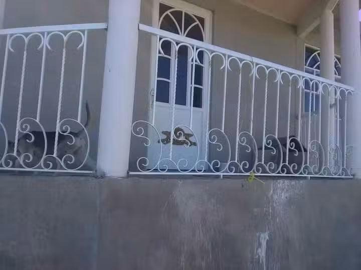 Herrer&iacute;a Uripit&iacute;o