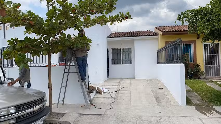 Herrer&iacute;a y estructura MG