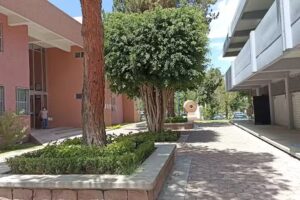 Instituto de Metalurgia UASLP